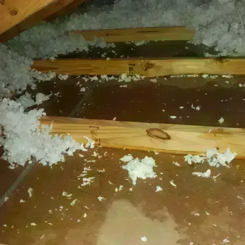 Attic Water Damage in Savannah, TN