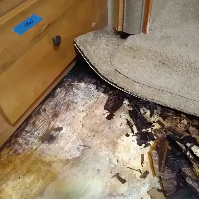 Wood Floor Water Damage in Savannah, TN